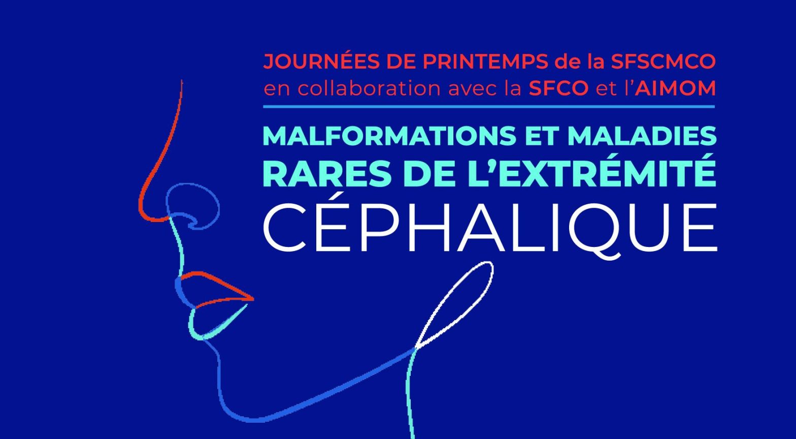 JOURNÉES DE PRINTEMPS de la SFSCMCO